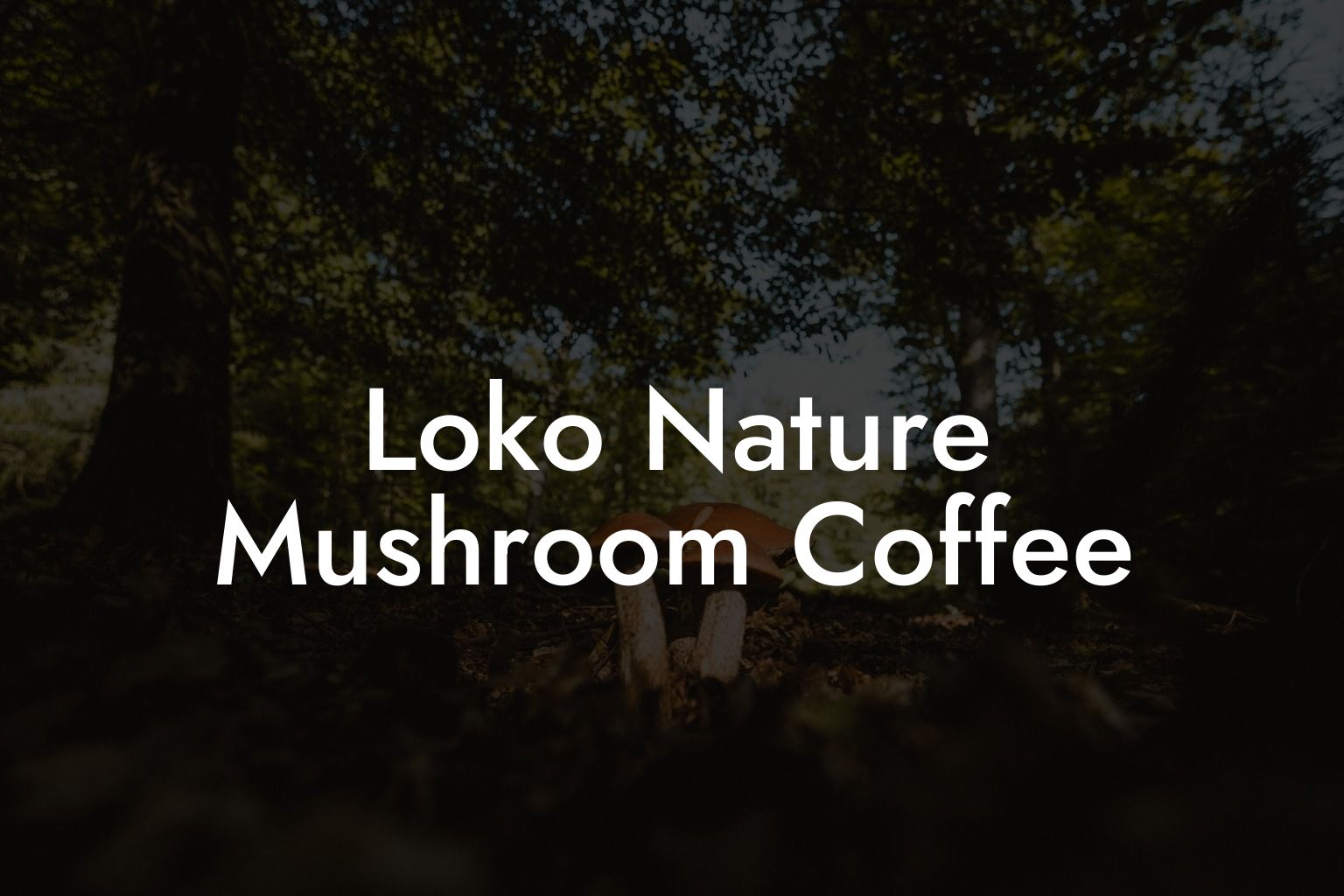 Loko Nature Mushroom Coffee