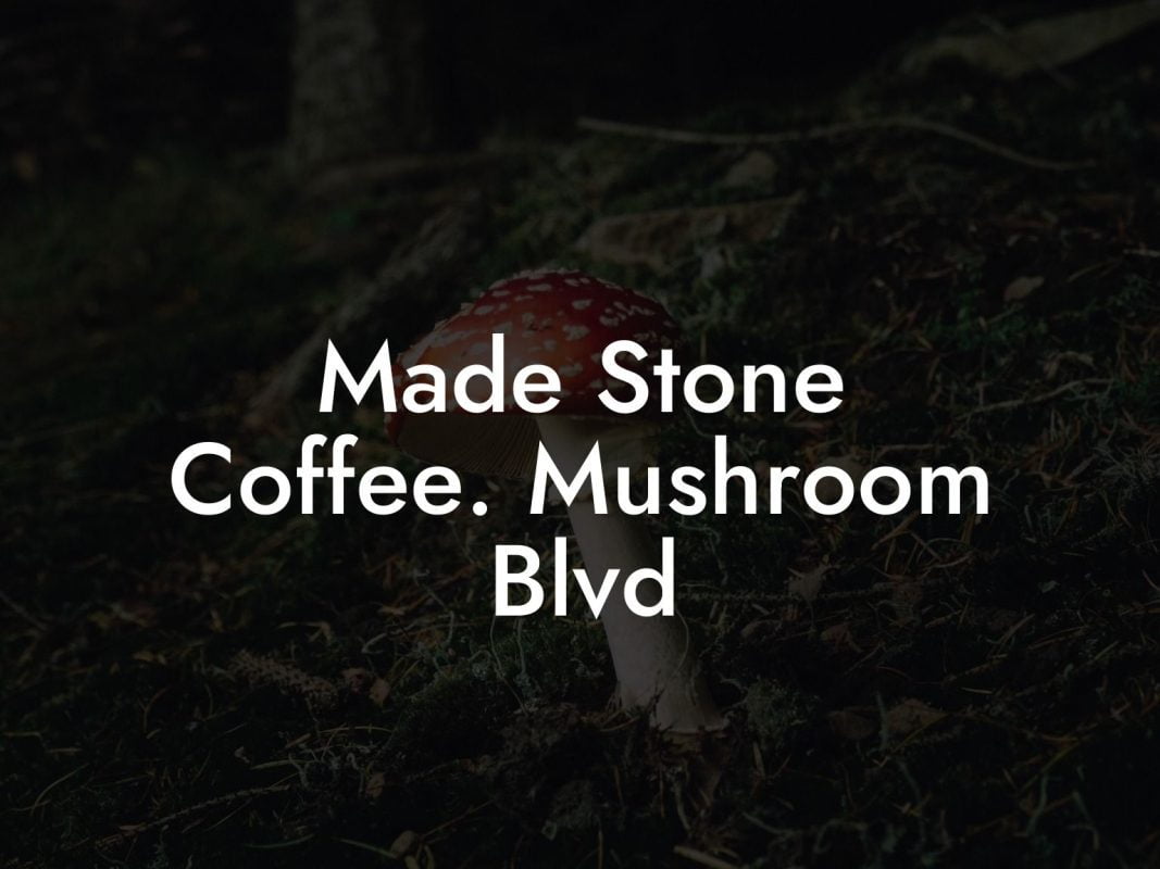 Made Stone Coffee. Mushroom Blvd