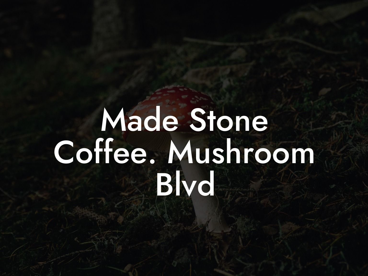 Made Stone Coffee. Mushroom Blvd