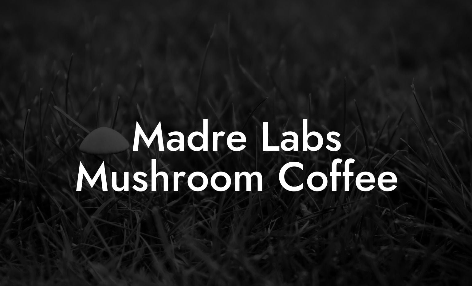 Madre Labs Mushroom Coffee