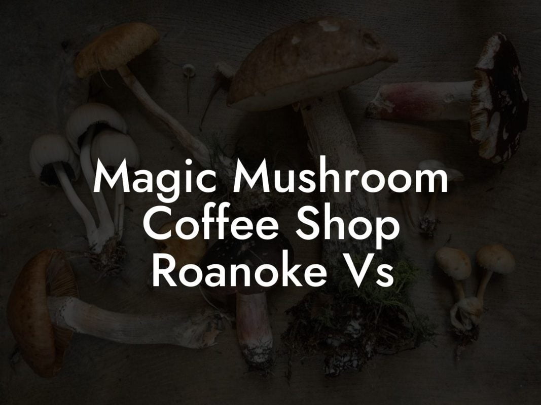 Magic Mushroom Coffee Shop Roanoke Vs