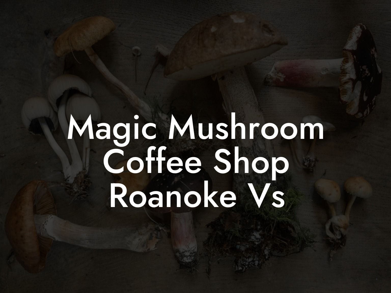 Magic Mushroom Coffee Shop Roanoke Vs