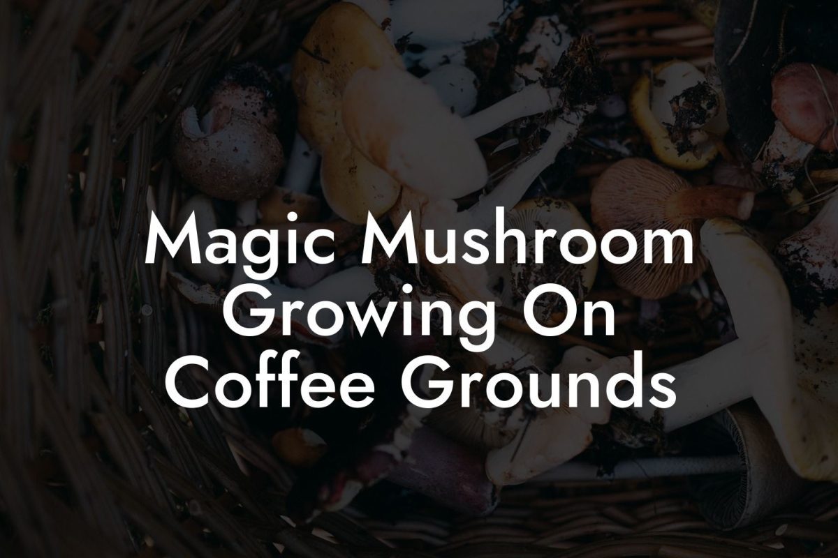 Magic Mushroom Growing On Coffee Grounds