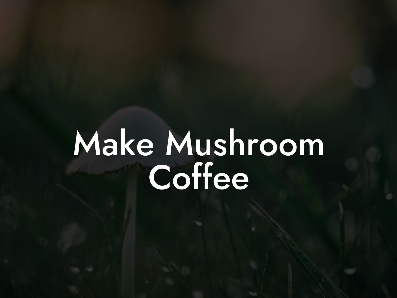 Make Mushroom Coffee