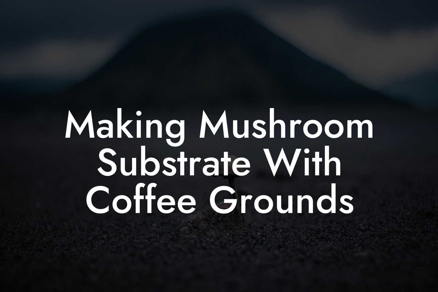 Making Mushroom Substrate With Coffee Grounds