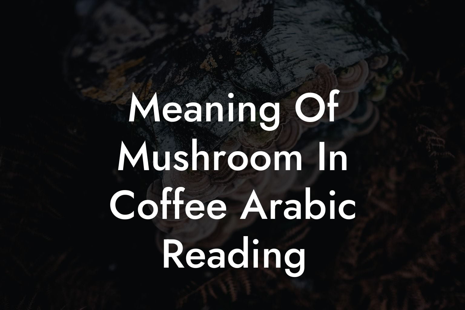 Meaning Of Mushroom In Coffee Arabic Reading