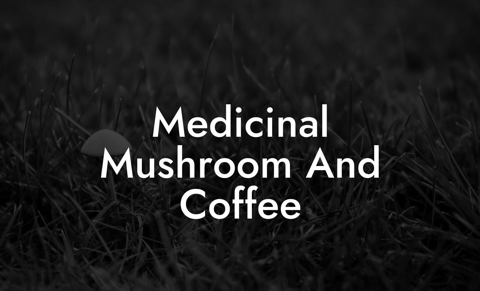 Medicinal Mushroom And Coffee