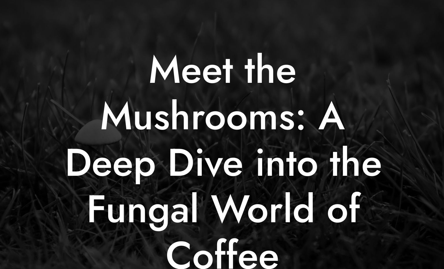 Meet the Mushrooms: A Deep Dive into the Fungal World of Coffee