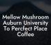 Mellow Mushroom Auburn University To Percfect Place Coffee