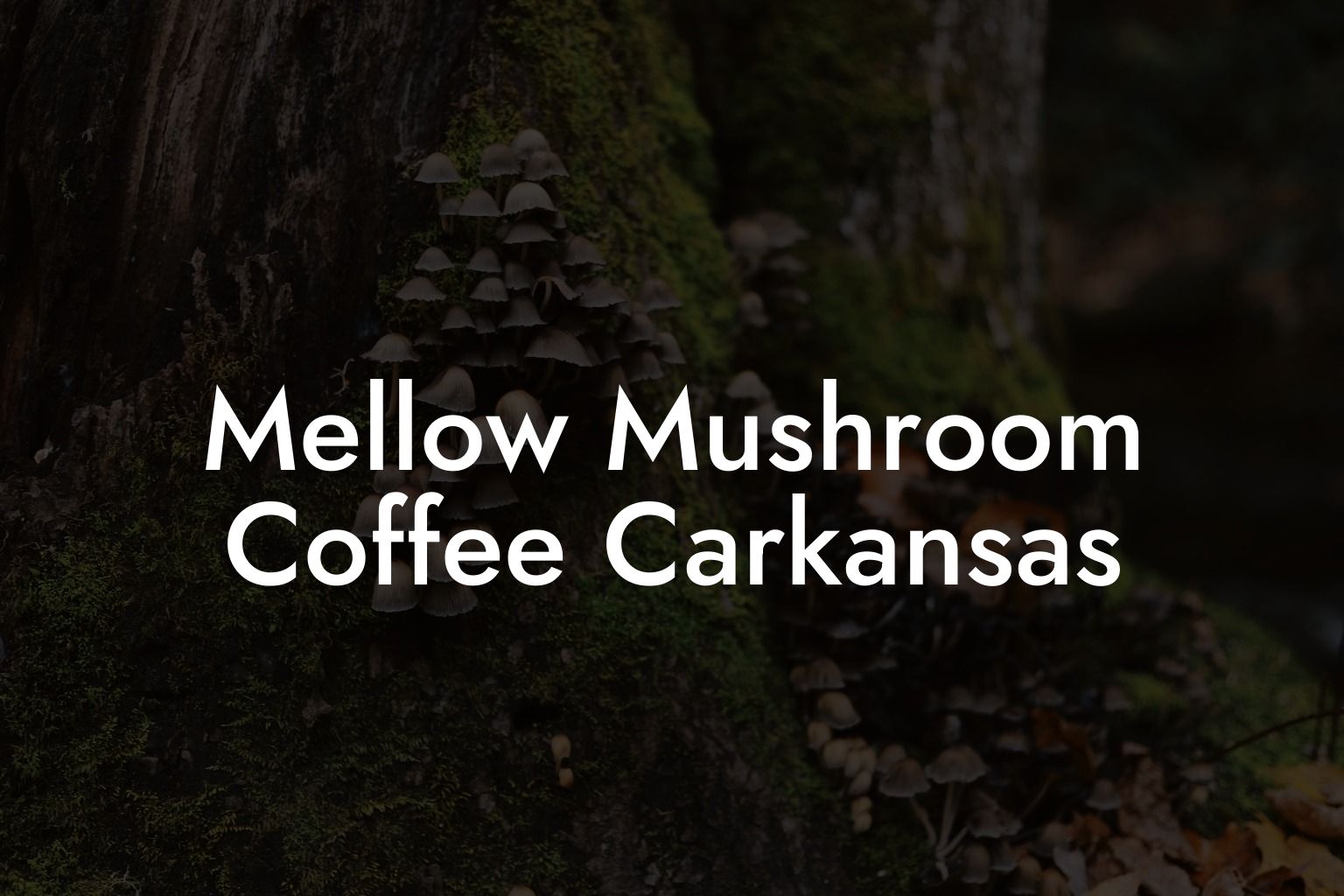 Mellow Mushroom Coffee Carkansas