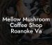 Mellow Mushroom Coffee Shop Roanoke Va