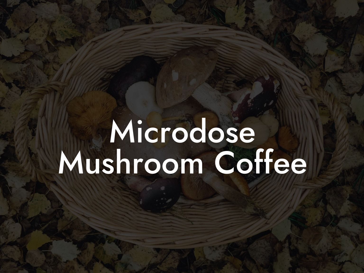Microdose Mushroom Coffee