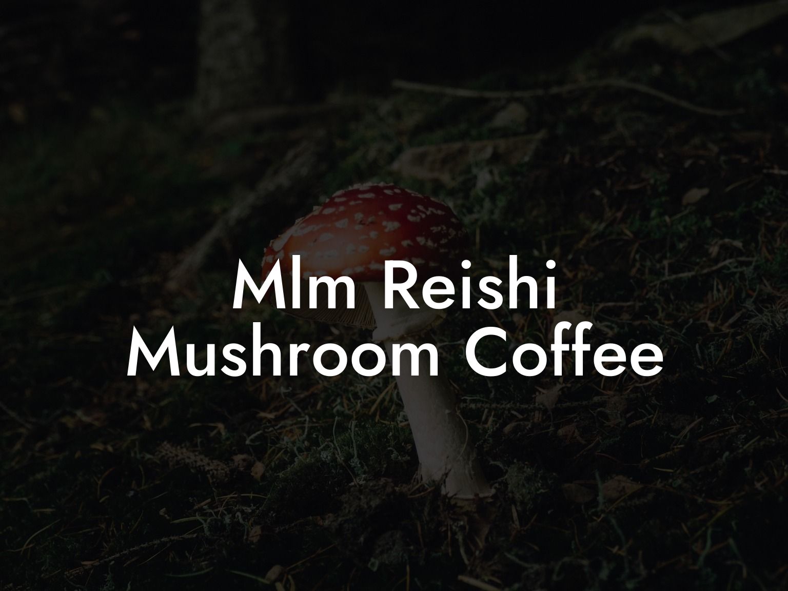 Mlm Reishi Mushroom Coffee