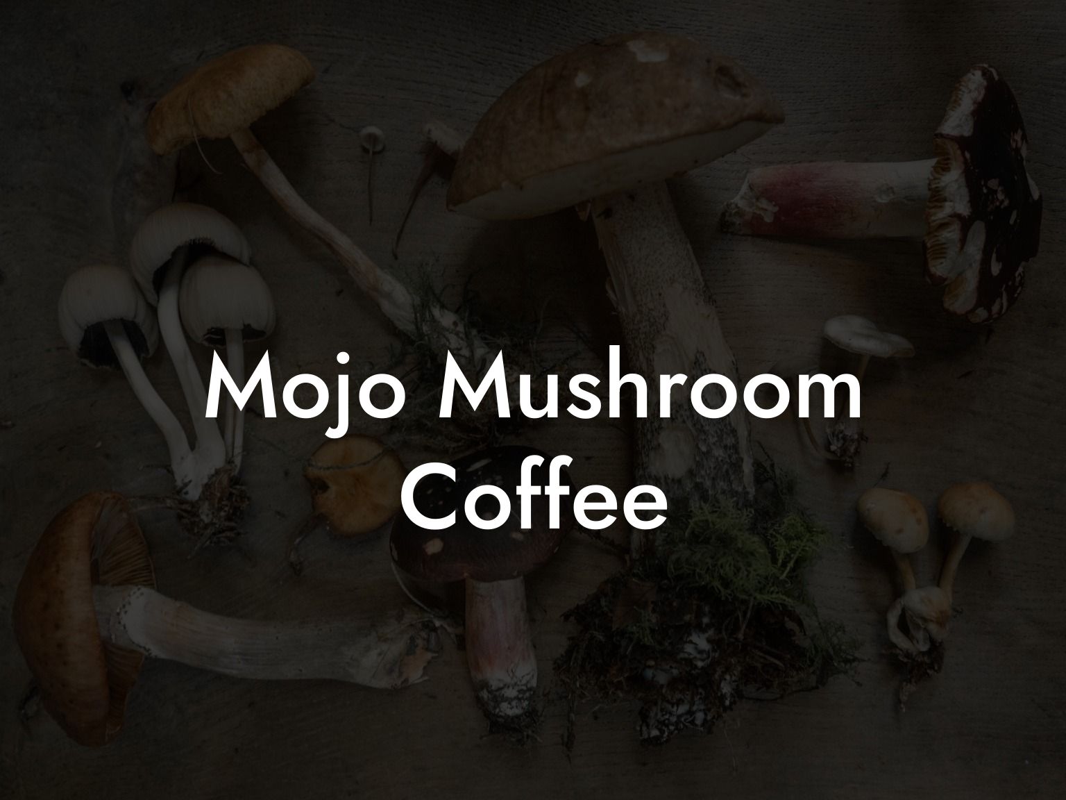 Mojo Mushroom Coffee