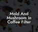 Mold And Mushroom In Coffee Filter