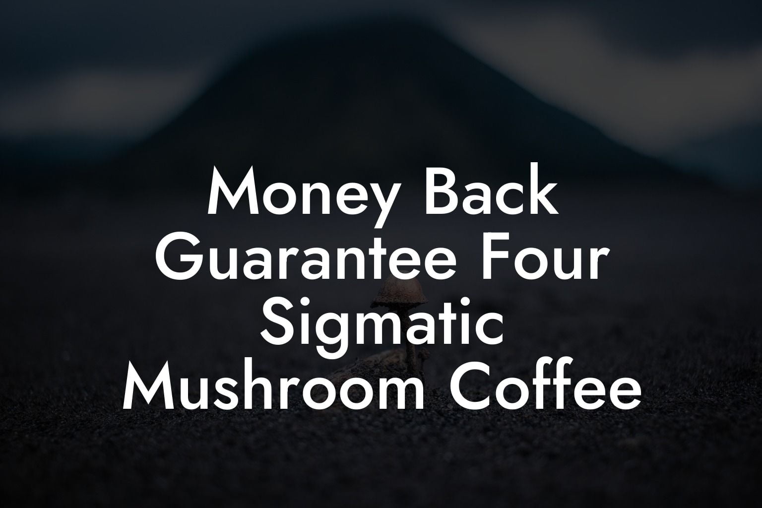 Money Back Guarantee Four Sigmatic Mushroom Coffee