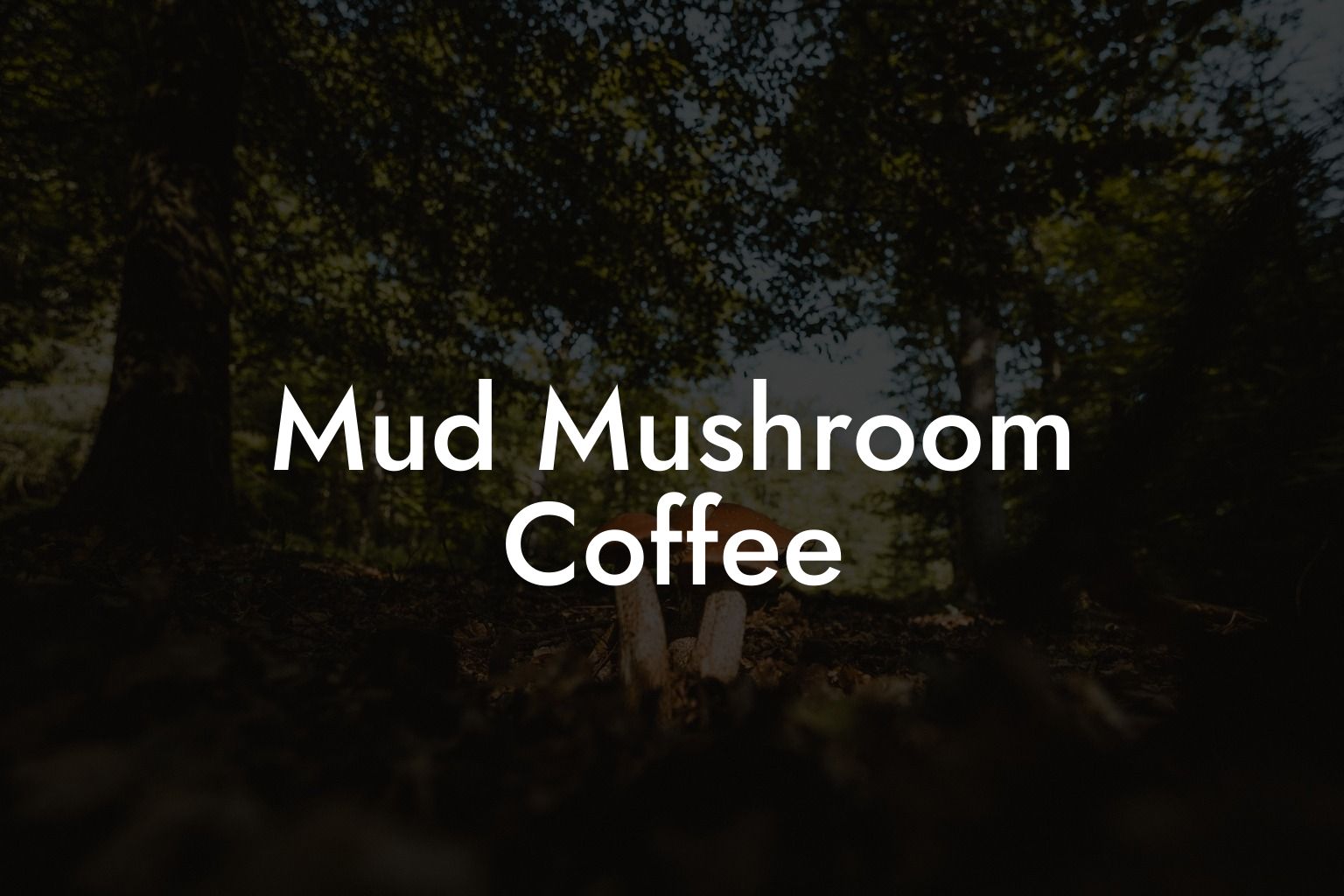 Mud Mushroom Coffee