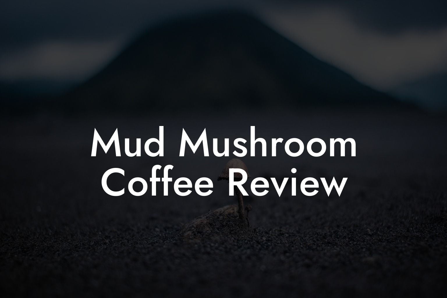 Mud Mushroom Coffee Review