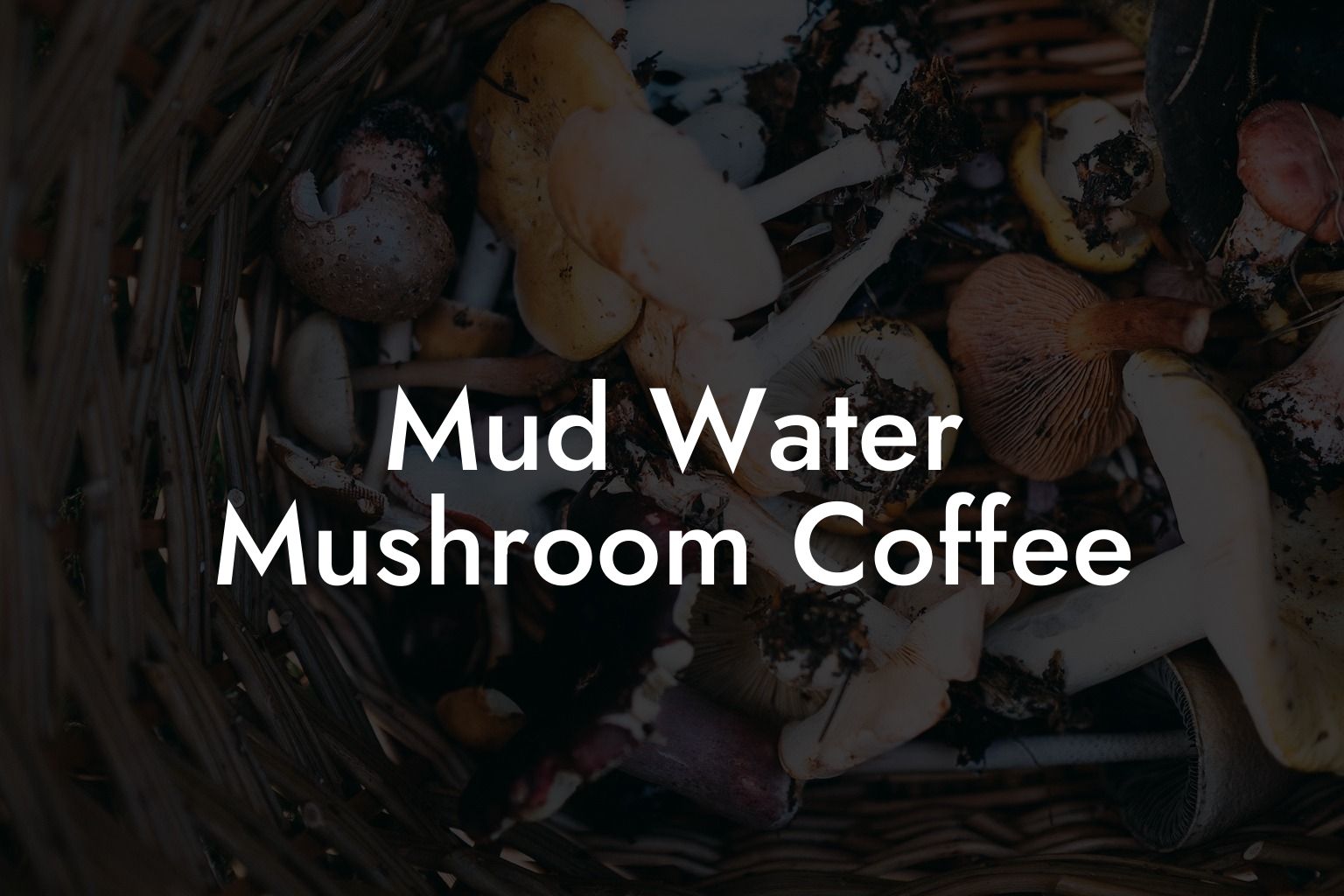 Mud Water Mushroom Coffee