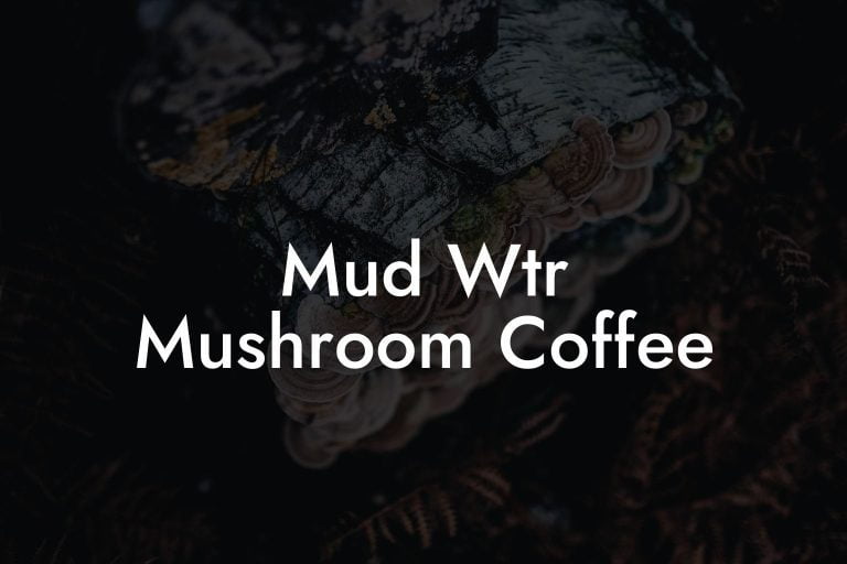 Mud Wtr Mushroom Coffee Mr Mushroom