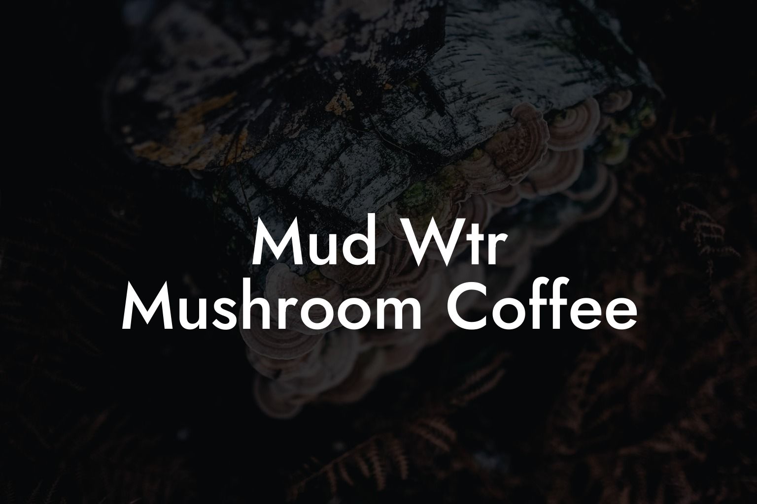Mud Wtr Mushroom Coffee