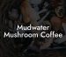 Mudwater Mushroom Coffee