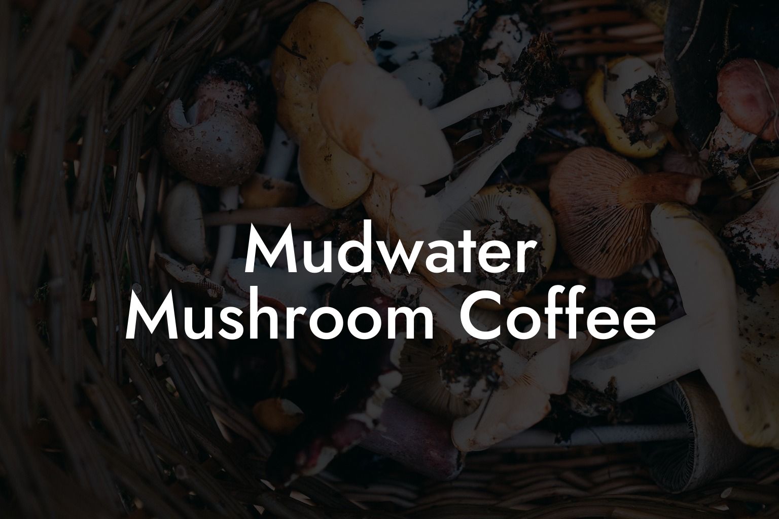 Mudwater Mushroom Coffee