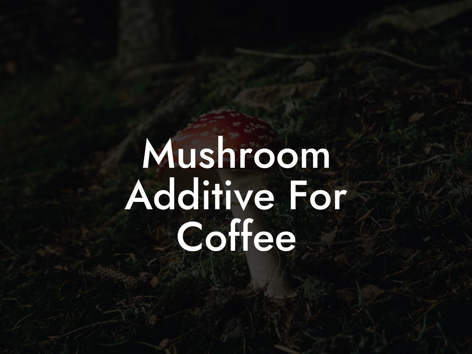 Mushroom Additive For Coffee