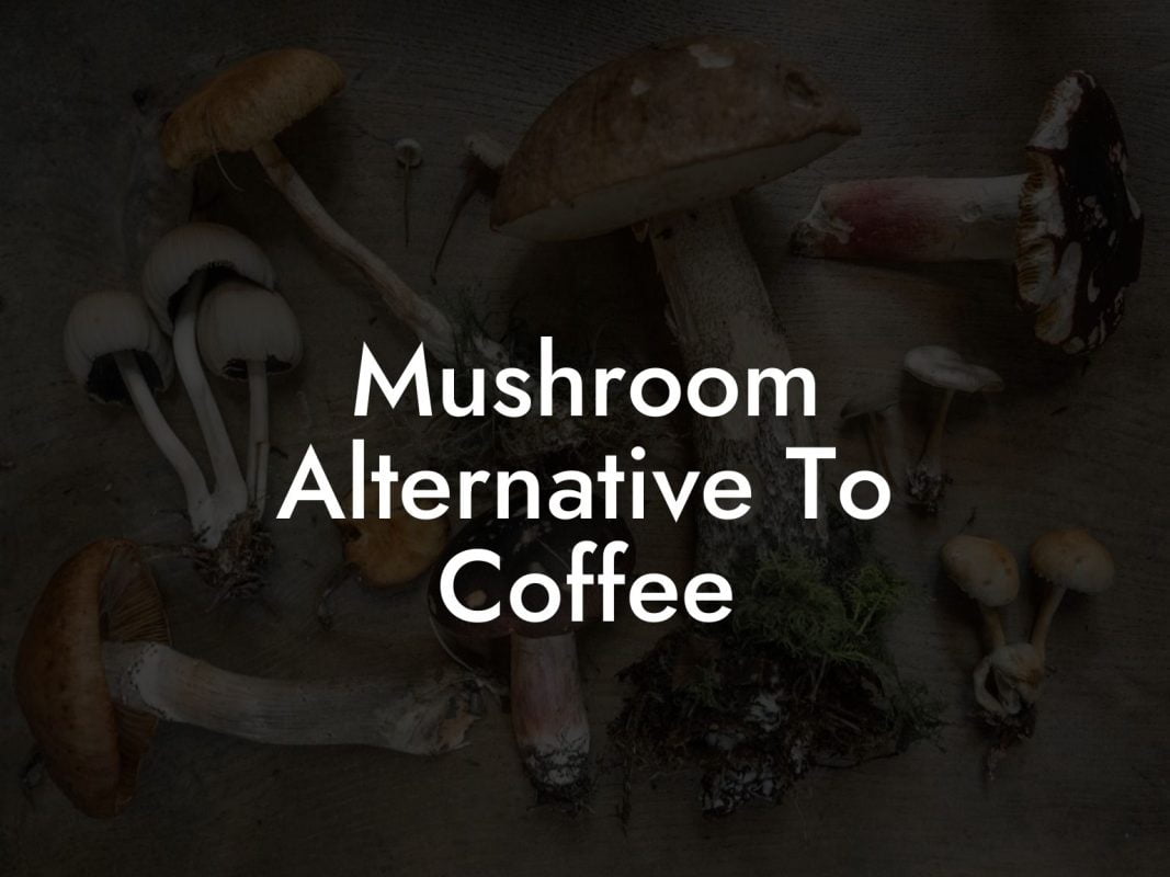 Mushroom Alternative To Coffee