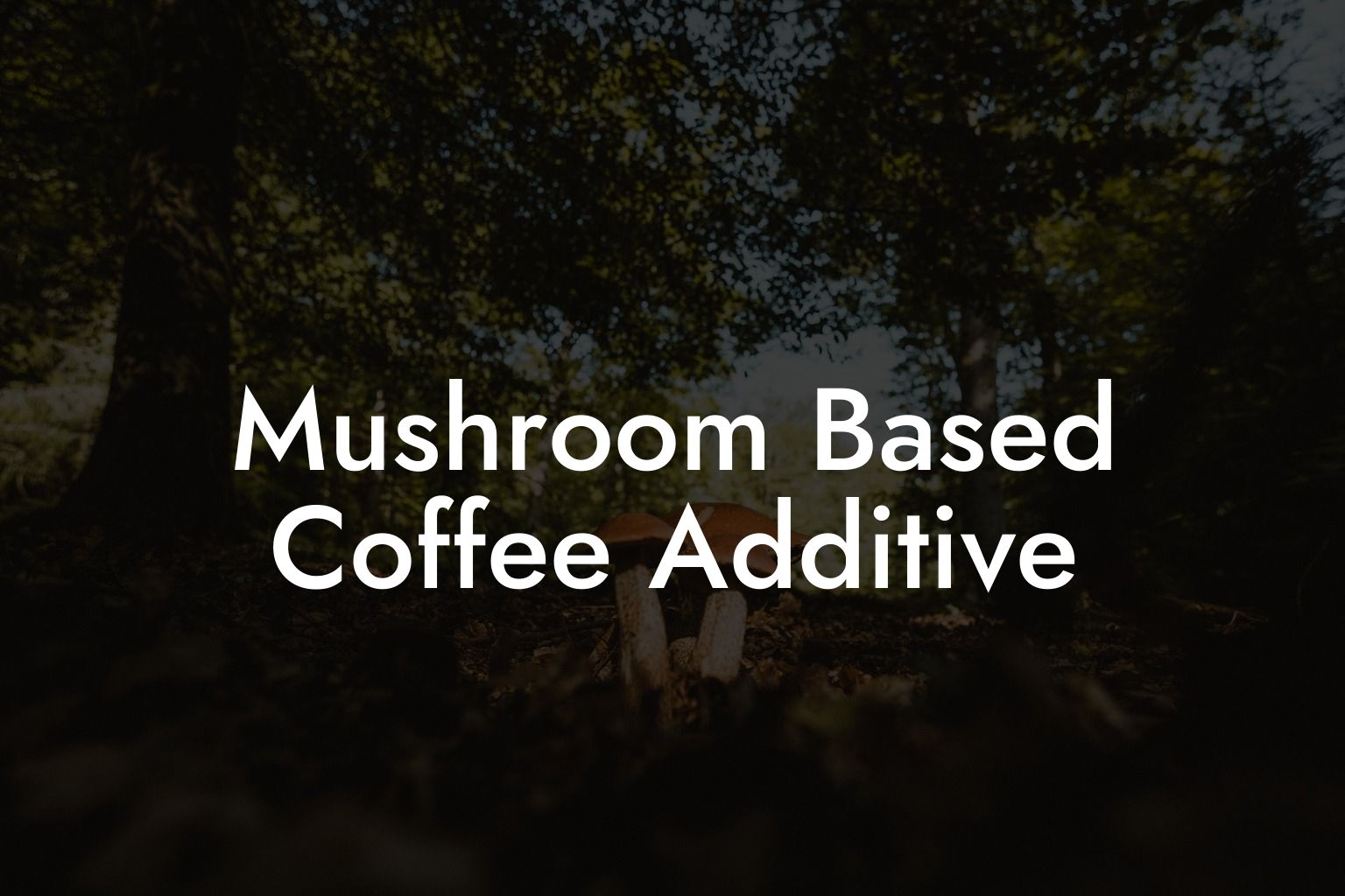 Mushroom Based Coffee Additive