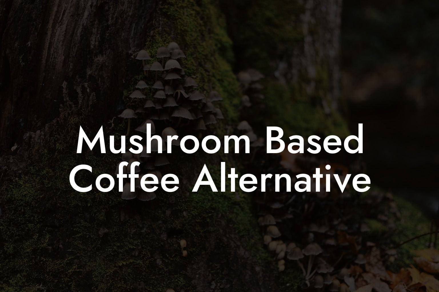 Mushroom Based Coffee Alternative