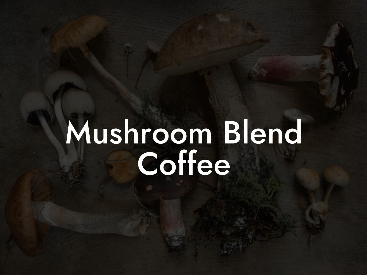 Mushroom Blend Coffee