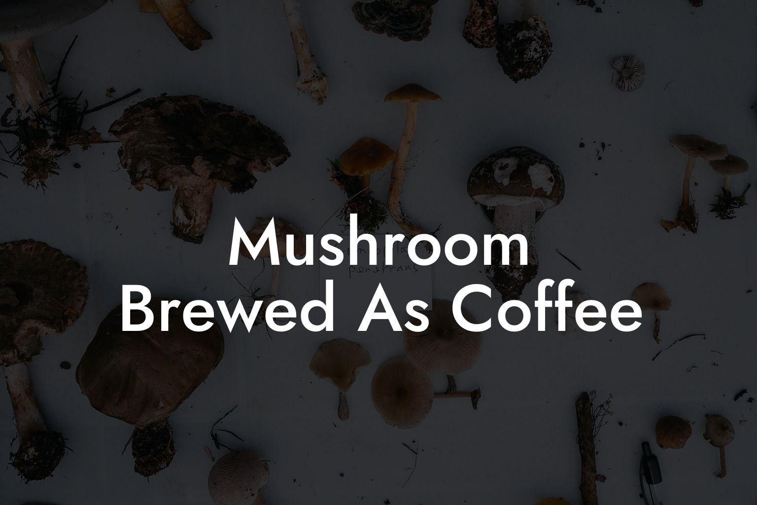 Mushroom Brewed As Coffee