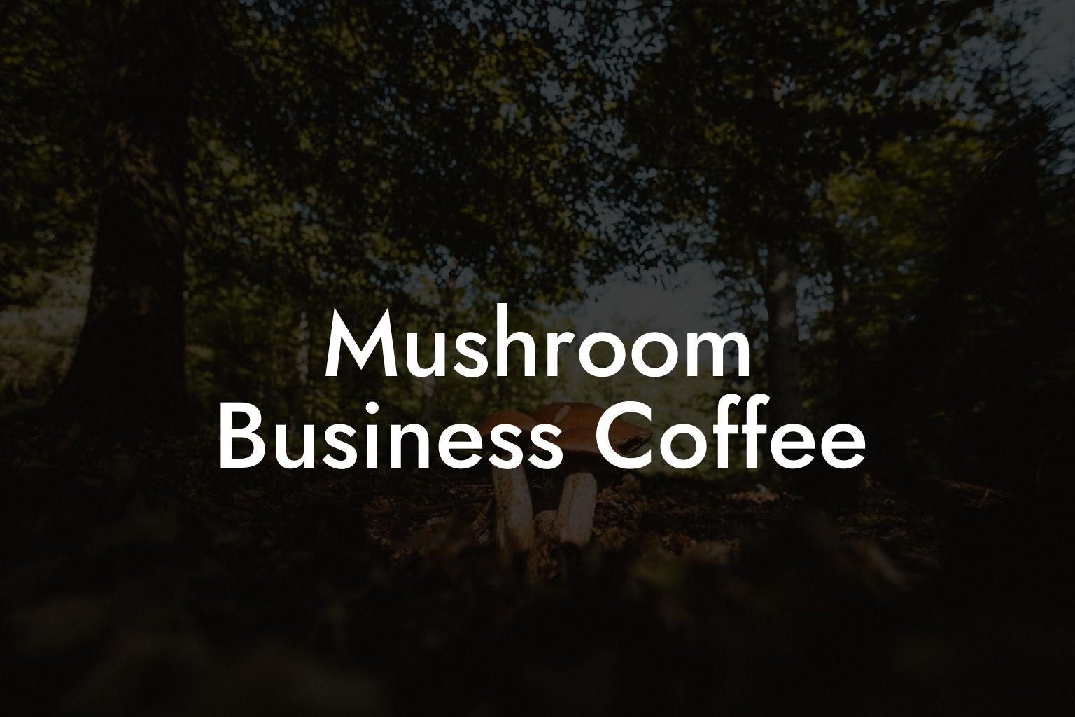 Mushroom Business Coffee