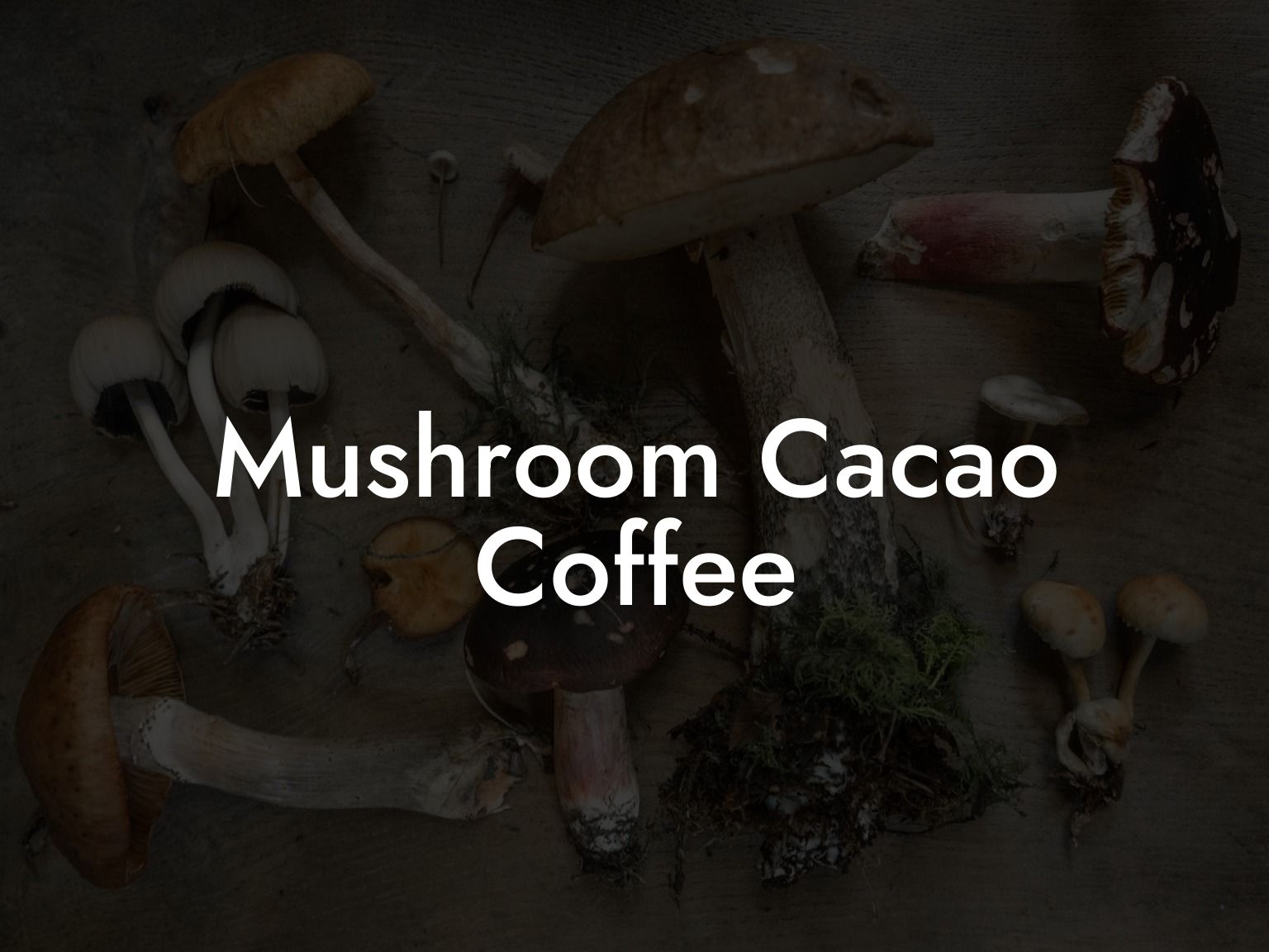 Mushroom Cacao Coffee