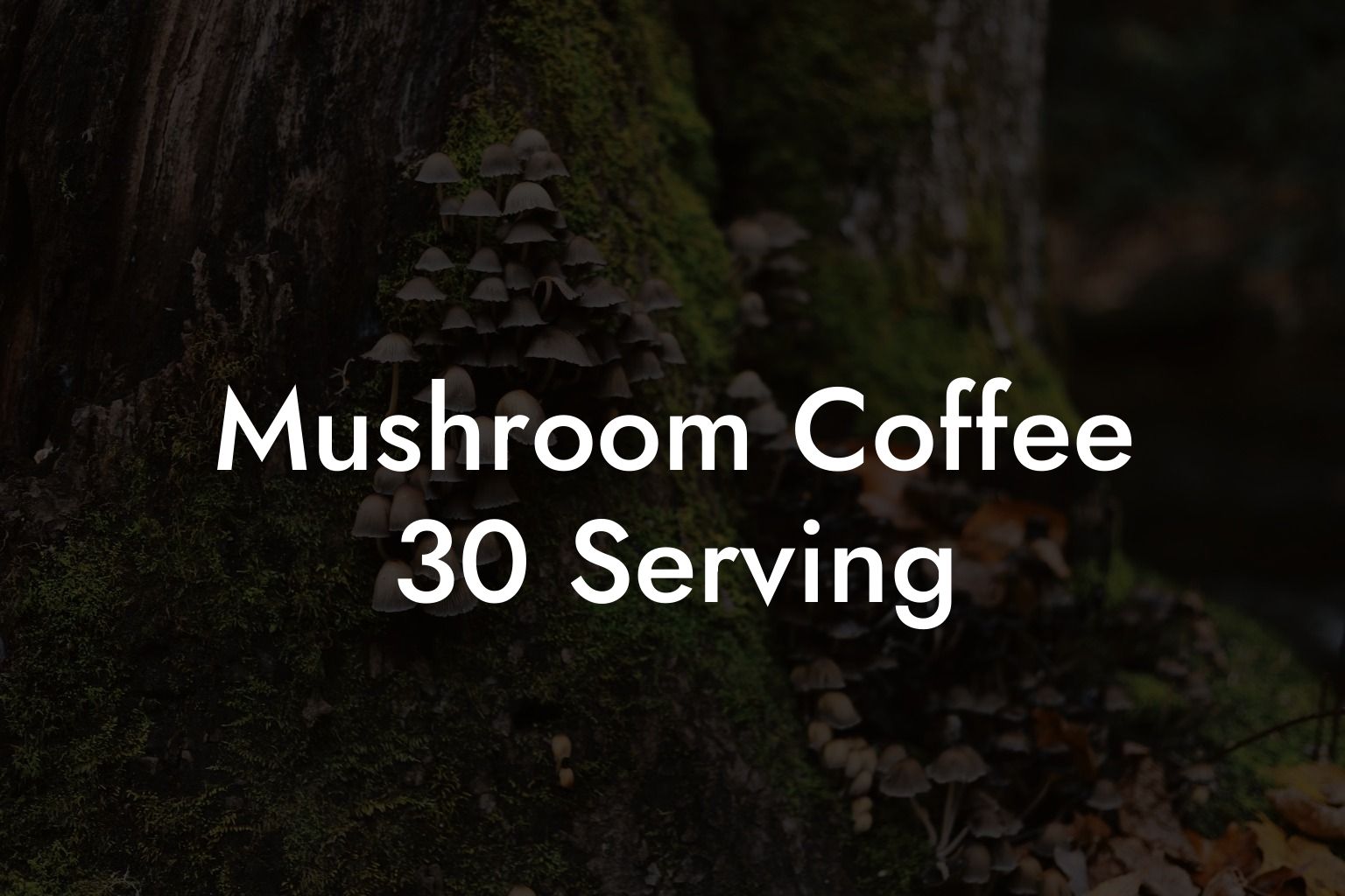 Mushroom Coffee 30 Serving