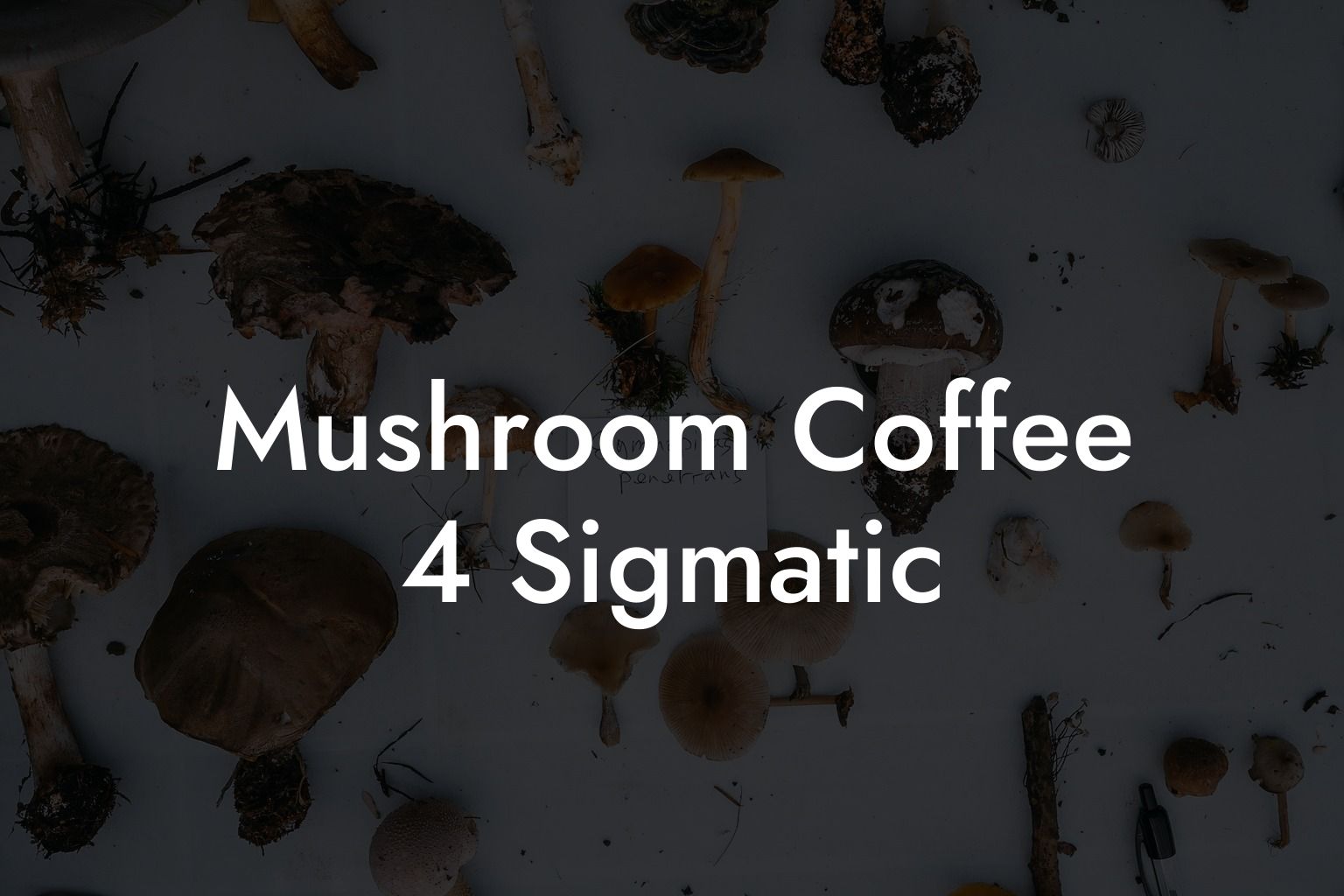 Mushroom Coffee 4 Sigmatic