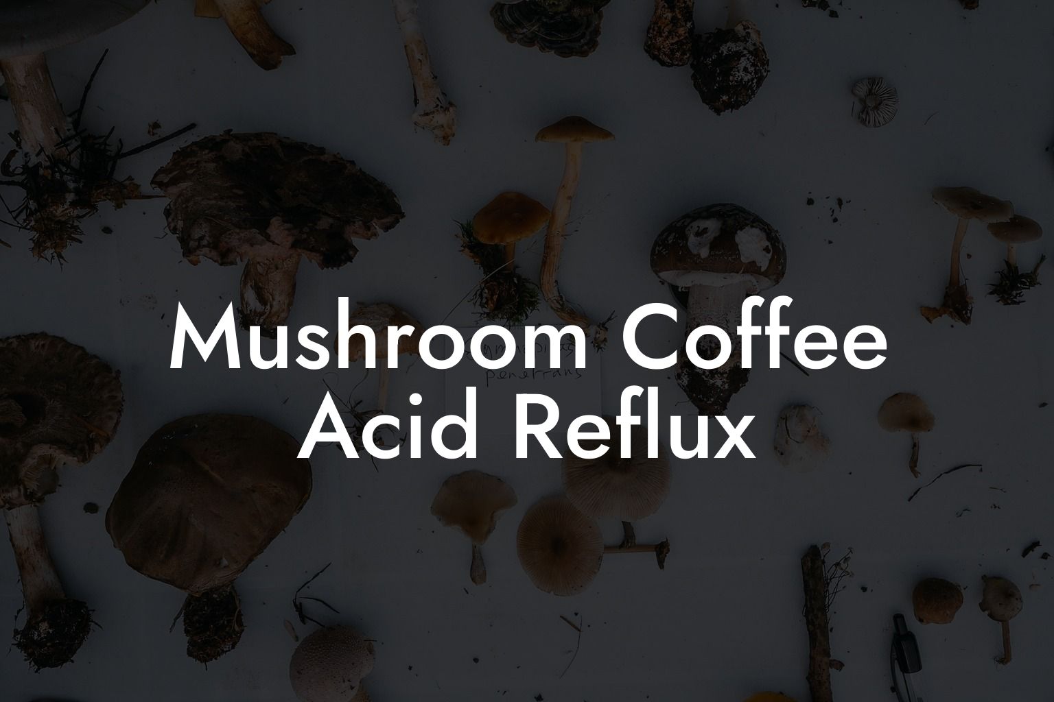 Mushroom Coffee Acid Reflux