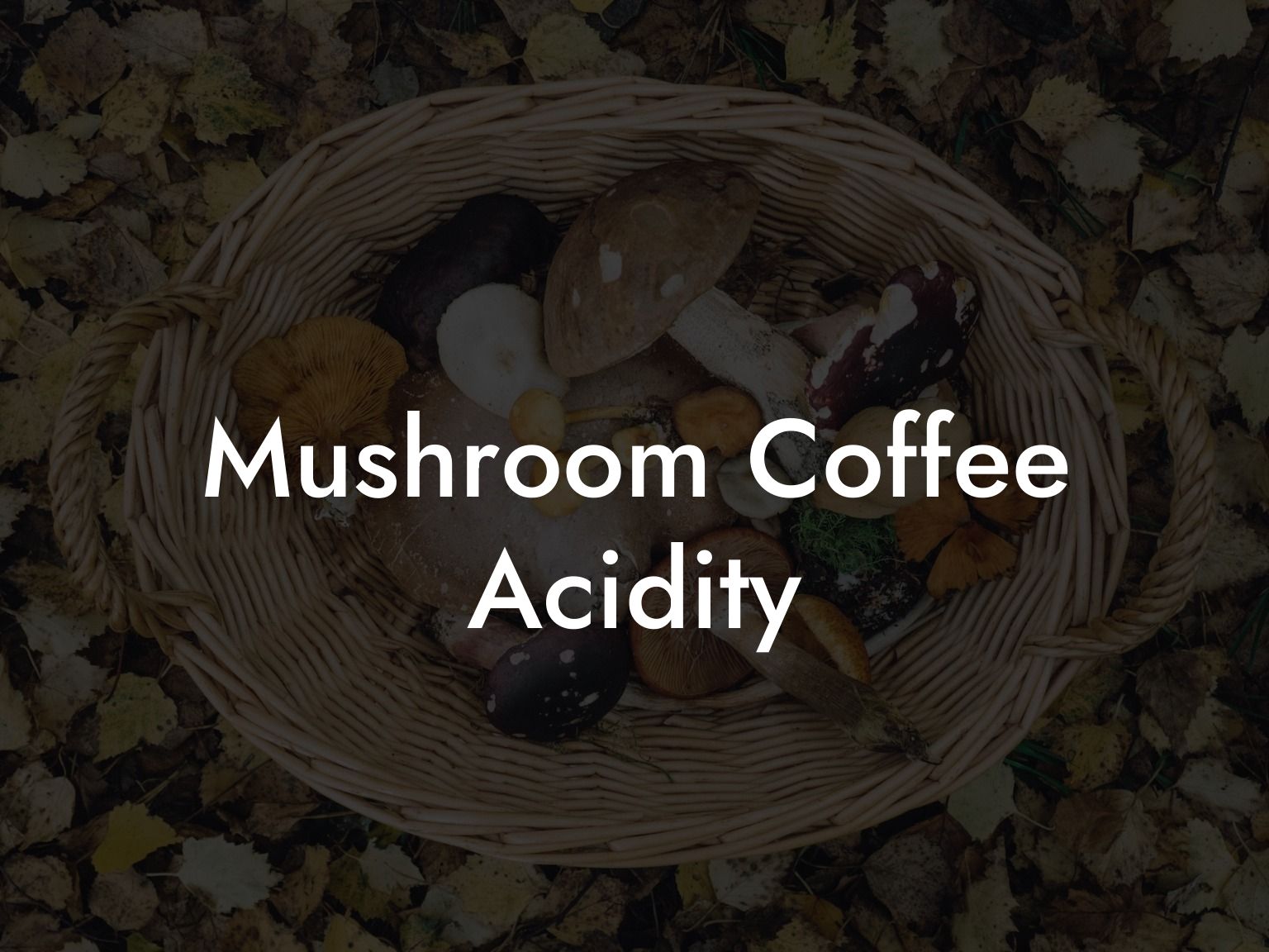 Mushroom Coffee Acidity