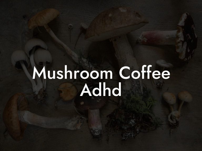 Mushroom Coffee Adhd Mr Mushroom