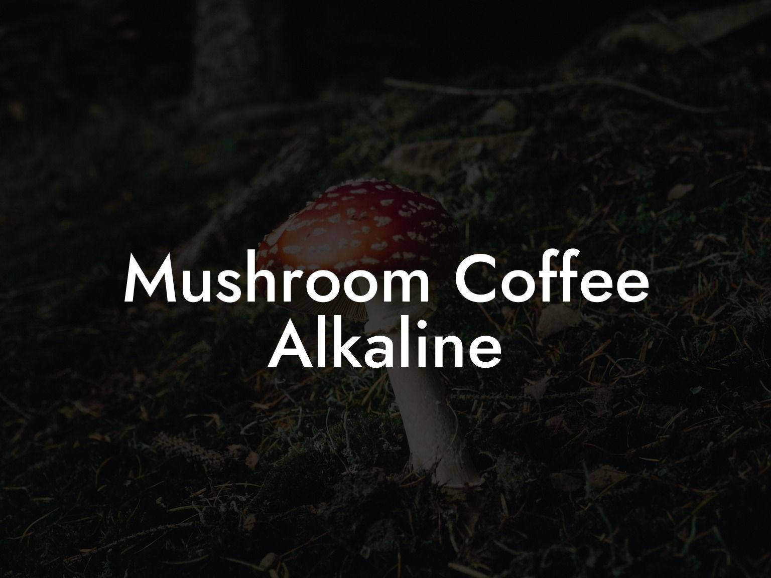 Mushroom Coffee Alkaline