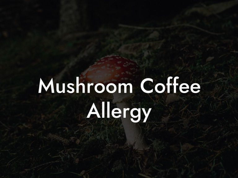 Mushroom Coffee Allergy Mr Mushroom