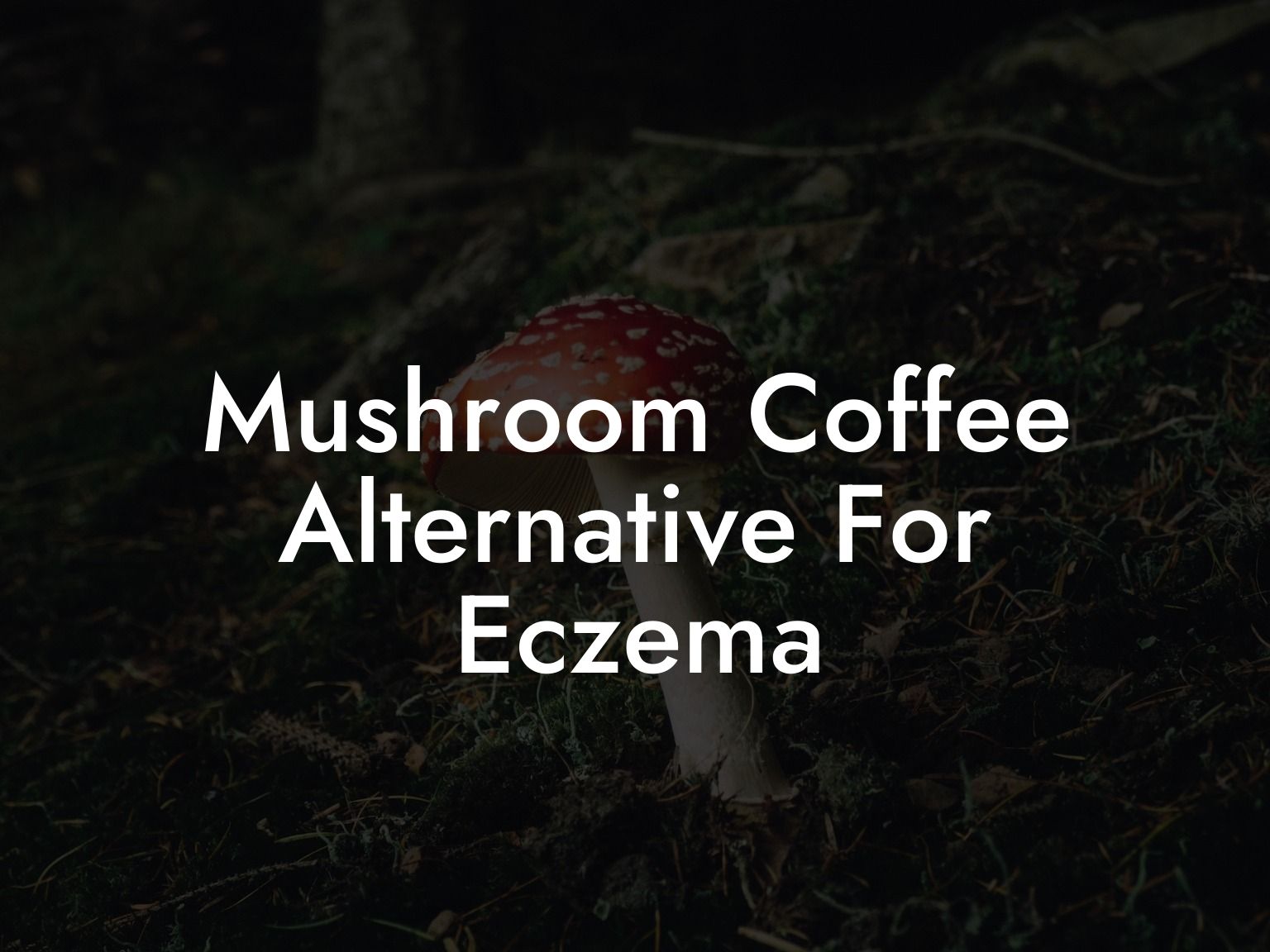 Mushroom Coffee Alternative For Eczema