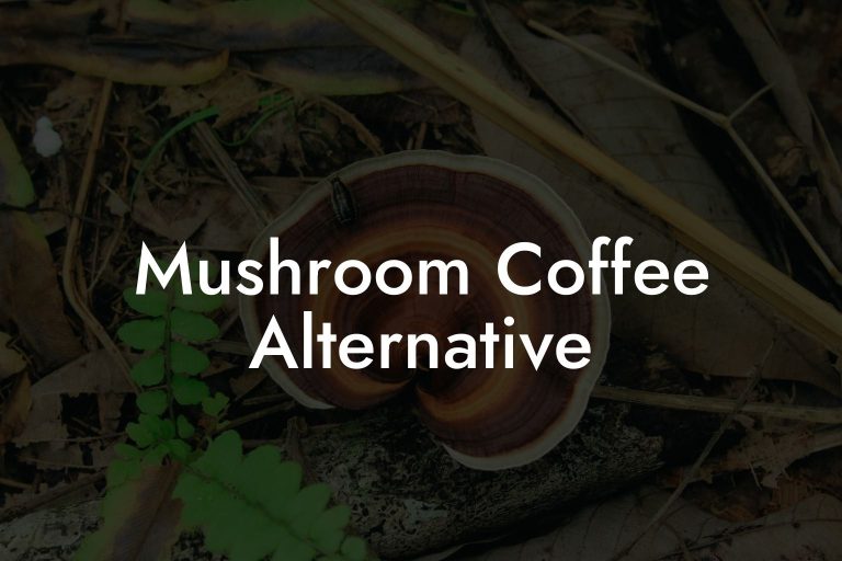 Mushroom Coffee Alternative Mr Mushroom
