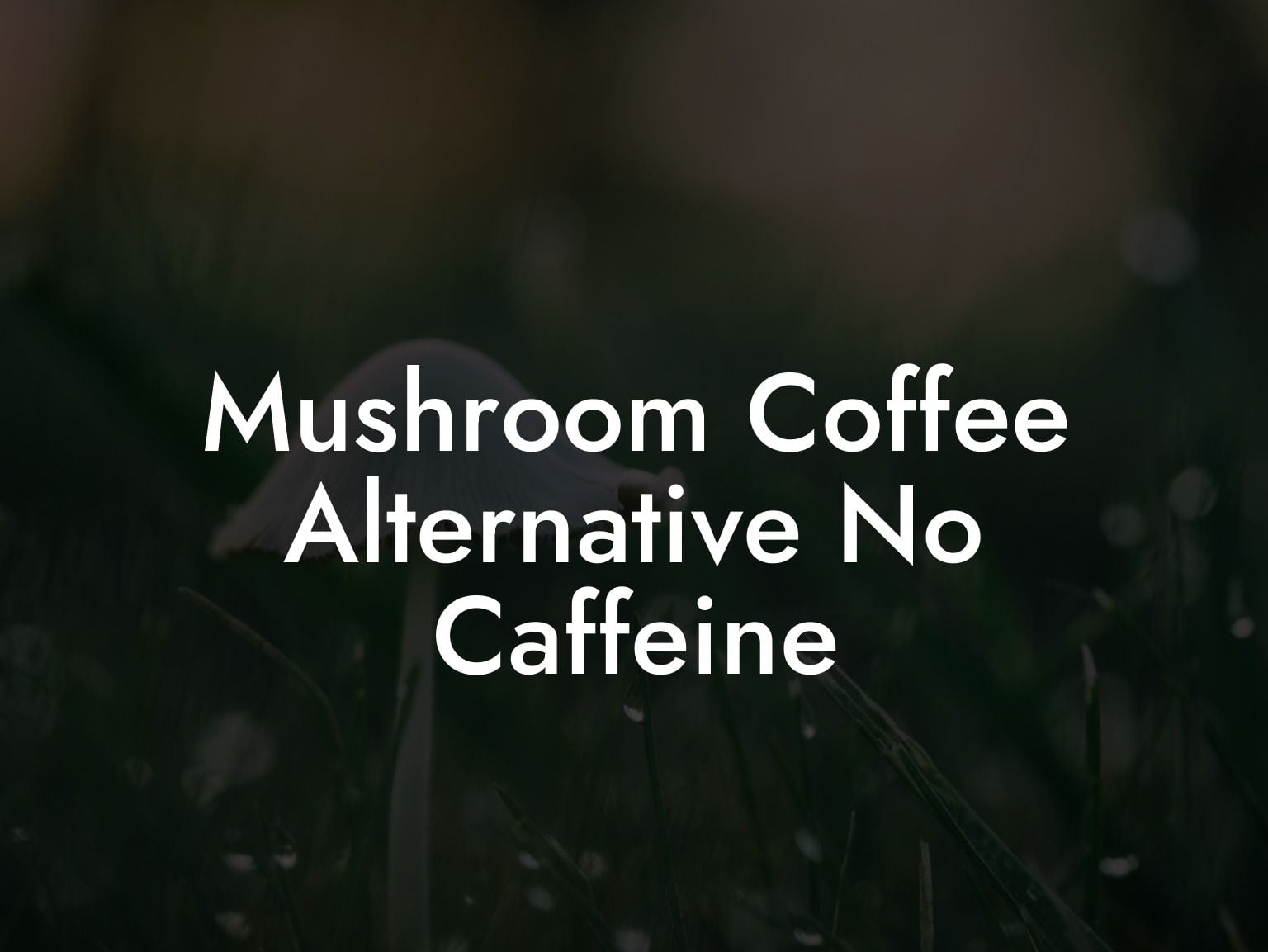 Mushroom Coffee Alternative No Caffeine