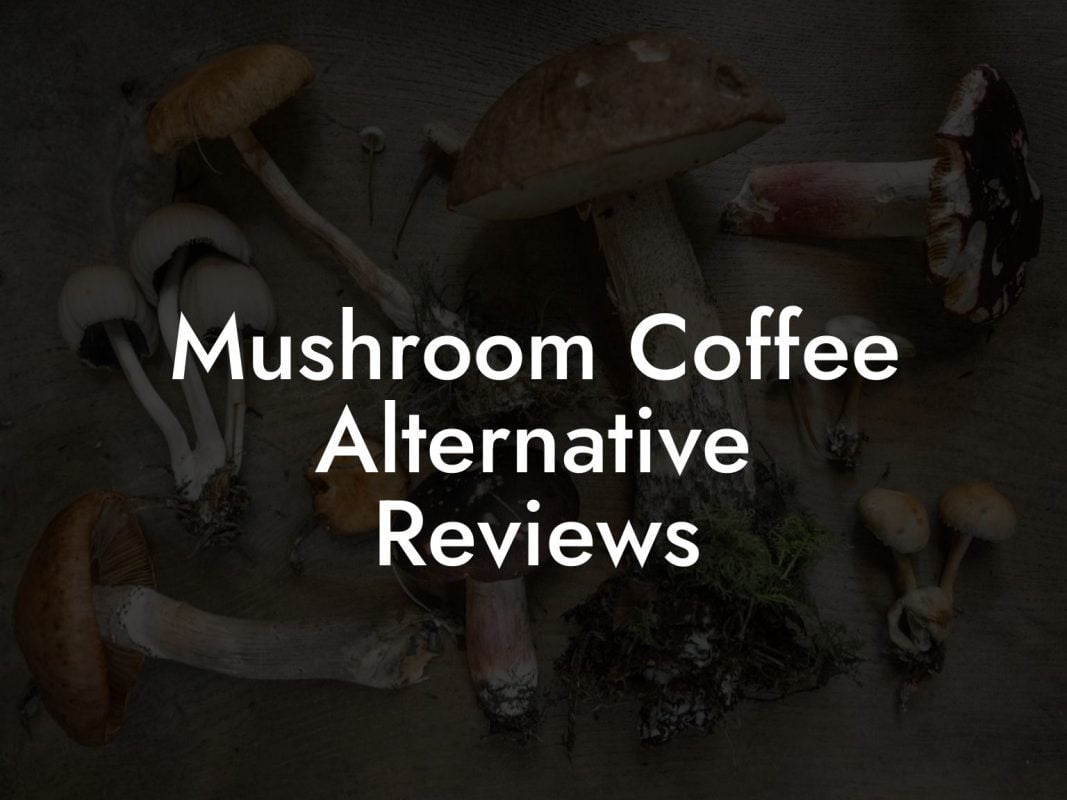 Mushroom Coffee Alternative Reviews