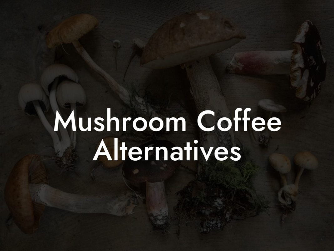 Mushroom Coffee Alternatives