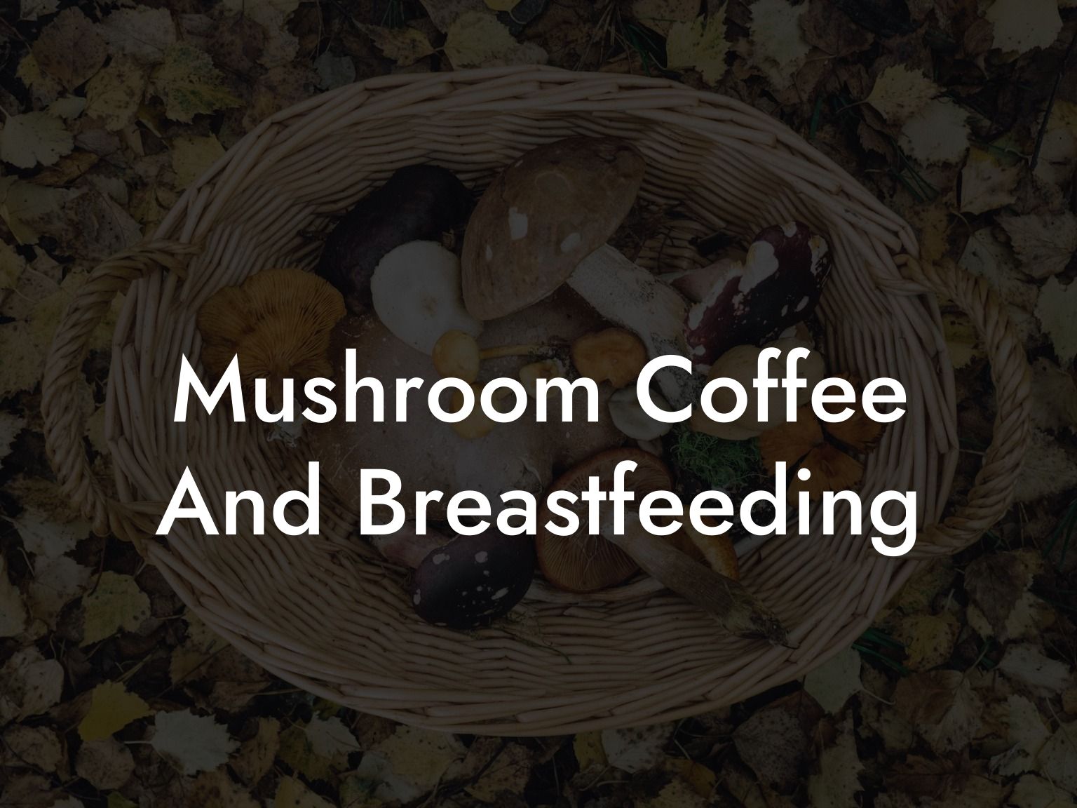 Mushroom Coffee And Breastfeeding