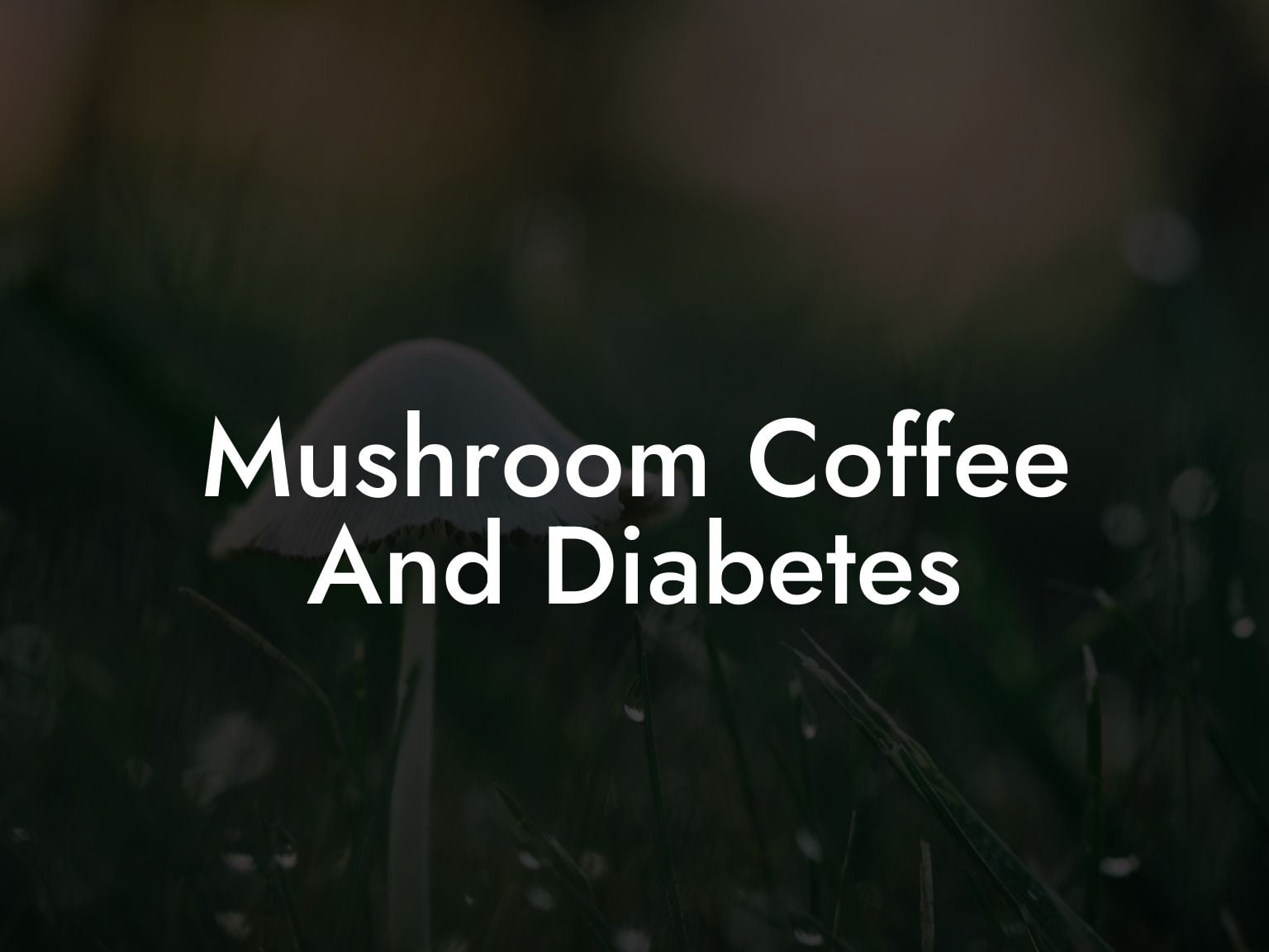 Mushroom Coffee And Diabetes