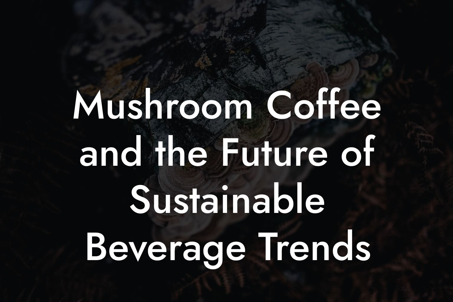 Mushroom Coffee and the Future of Sustainable Beverage Trends
